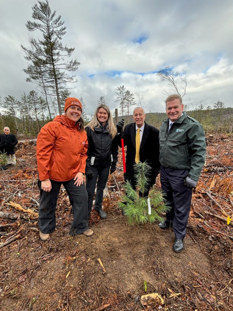 Samuel de Champlain Provincial Park 3Nov 21 2025
